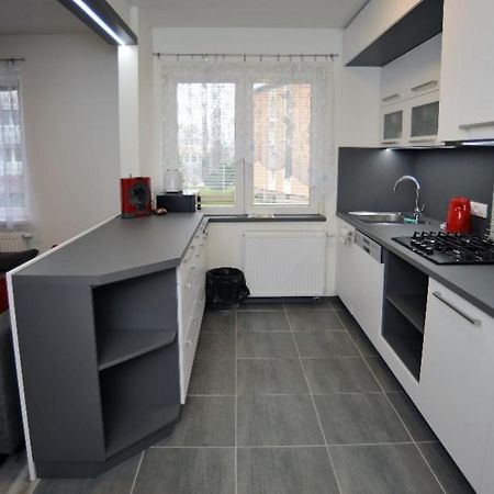 Apartman Zuzka Jeseník エクステリア 写真