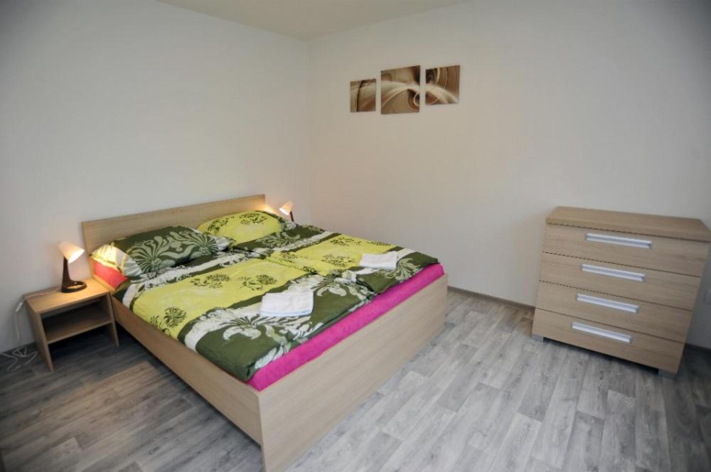 Apartman Zuzka Jeseník エクステリア 写真